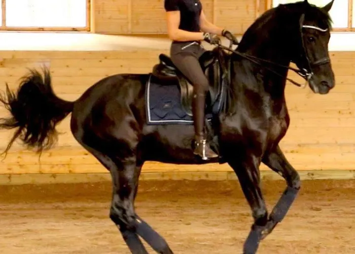 Granlunda Hotell Gottby